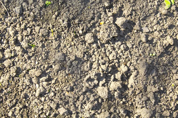 乾燥した農業用茶色の土壌の背景テクスチャ — ストック写真
