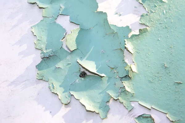剥離塗料で古い木の表面の質感 — ストック写真