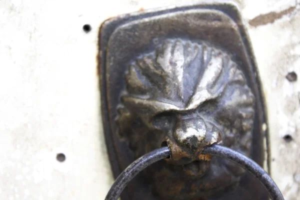 Старая Металлическая Дверь Формы Руки Льва — стоковое фото