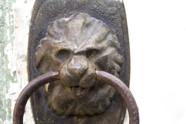 Old Metal Door Hand Shape Lion — Stock Photo, Image