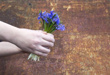 bahar çiçekler kardelen ile eller