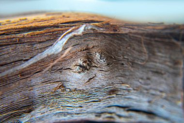 Üzümün gövdesi çok eksiksiz..