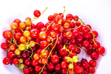 Beyaz arkaplanda taze frenk üzümü