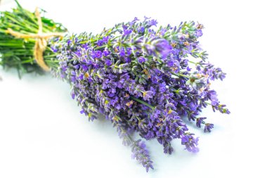 Beyaz arka planda izole edilmiş güzel lavanta buketi, üst manzara