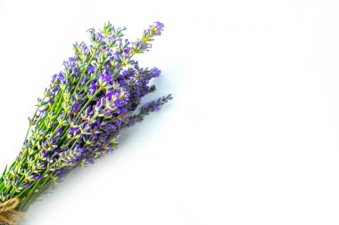Beyaz arka planda izole edilmiş güzel lavanta buketi, üst manzara