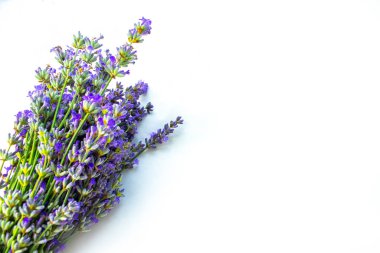 Beyaz arka planda izole edilmiş güzel lavanta buketi, üst manzara
