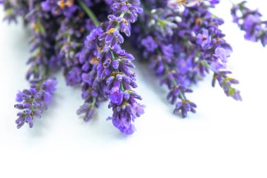 Beyaz arka planda izole edilmiş güzel lavanta buketi, üst manzara