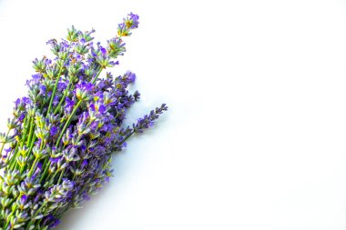 Beyaz arka planda izole edilmiş güzel lavanta buketi, üst manzara