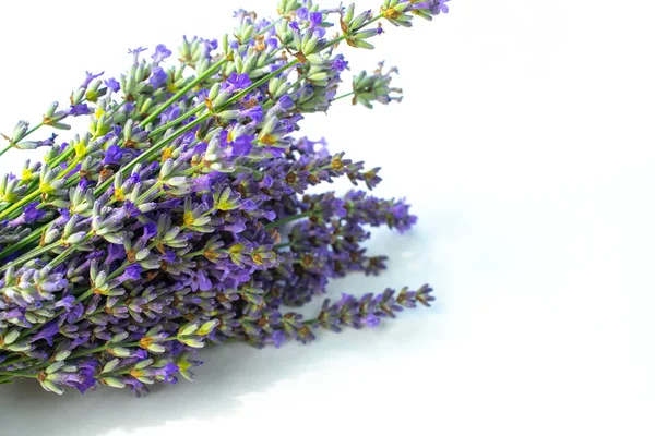 Vacker Lavendel Bukett Isolerad Vit Bakgrund Ovanifrån — Stockfoto
