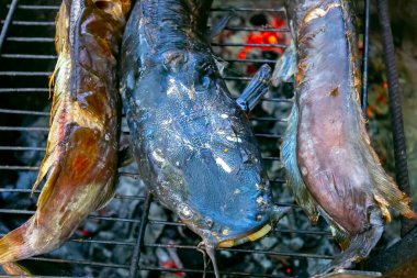Soğanlı balık pişirmek, ızgarada mantar pişirmek. Kömür pişiriyorum. Doğada yemek. Kamp alanında öğle yemeği. Piknik.
