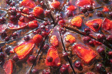 Çilekli çikolatalı keki yakından çek. Kremalı ve taze meyveli lezzetli çilekli turta.