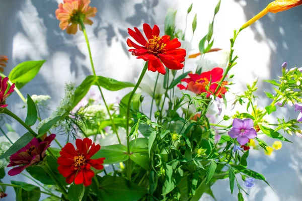 Bir demet leylak, beyaz, pembe ve mor östoma çiçekleri ve kırmızı zinya çiçekleri.