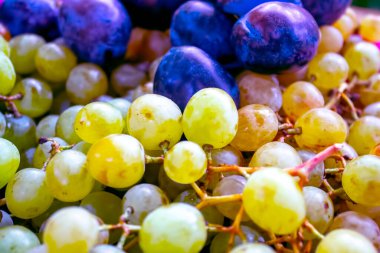 beyaz üzümler ve erikler, meyve arkaplanı