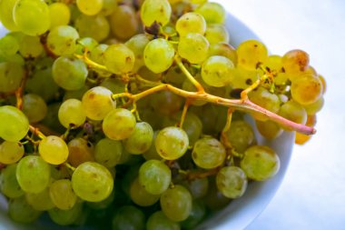 Tabakta beyaz üzümler, beyaz arkaplan