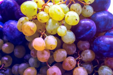 beyaz üzümler ve erikler, meyve arkaplanı