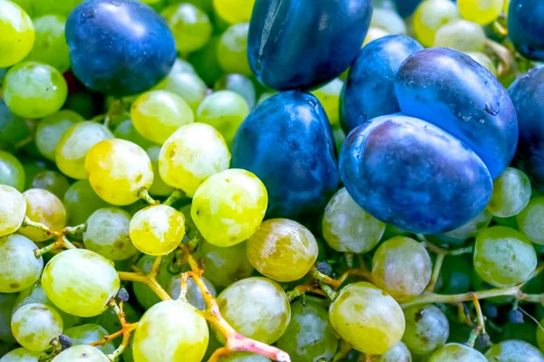 Białe Winogrona Śliwki Tło Owocowe — Zdjęcie stockowe