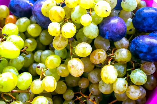 beyaz üzümler ve erikler, meyve arkaplanı