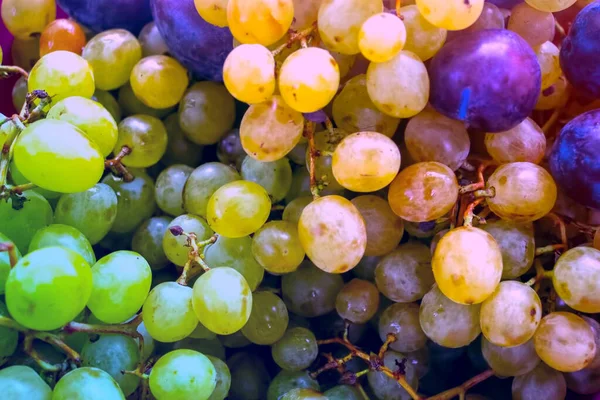Białe Winogrona Śliwki Tło Owocowe — Zdjęcie stockowe