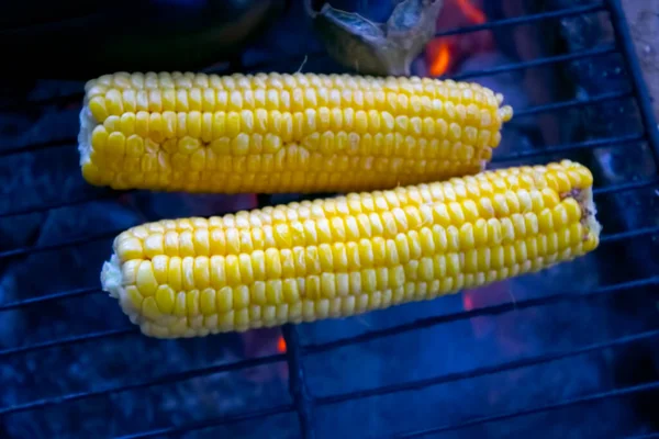 Érett Arany Kukorica Kukorica Grill Füst Láng Hamu Háttér Vegetáriánus — Stock Fotó