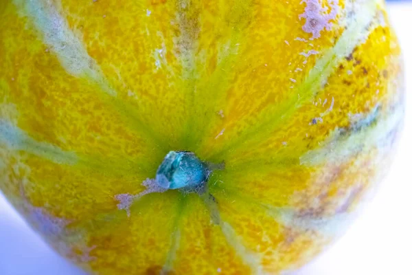 Melão Amarelo Isolado Sobre Fundo Branco — Fotografia de Stock