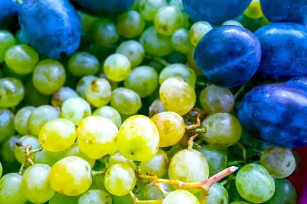 beyaz üzümler ve erikler, meyve arkaplanı