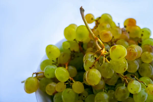 white grapes on the plate, white background