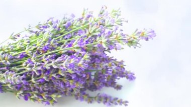 Beyaz arka planda izole edilmiş güzel lavanta buketi, üst manzara