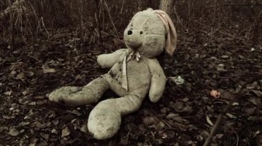 Ormanda sonbahar yapraklarıyla kaplı terk edilmiş oyuncak tavşancık. (konsept: depresyon, yalnızlık)