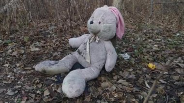 Ormanda sonbahar yapraklarıyla kaplı terk edilmiş oyuncak tavşancık. (konsept: depresyon, yalnızlık)