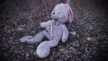 Ormanda sonbahar yapraklarıyla kaplı terk edilmiş oyuncak tavşancık. (konsept: depresyon, yalnızlık)