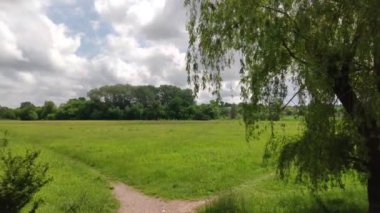 kırsal yol çayırlık orman yolu 