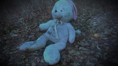 Ormanda sonbahar yapraklarıyla kaplı terk edilmiş oyuncak tavşancık. (konsept: depresyon, yalnızlık)