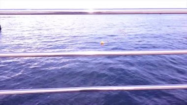 Bir kızıl deniz şamandırası denizde yüzüyor. Tırabzanda görünüm