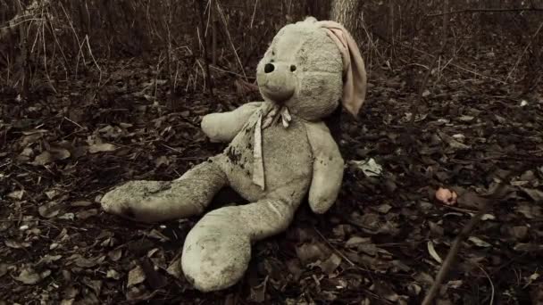 외로운 버려진 장난감 나뭇잎으로 버려진 장난감 우울증 외로움 — 비디오
