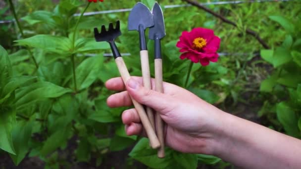 Gartengeräte Set Aus Schaufeln Harken Mistgabeln Der Hand Auf Einem — Stockvideo
