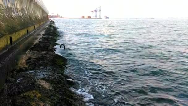 沿岸の桟橋 海の泡と海藻とサーフ波 日の海景 — ストック動画