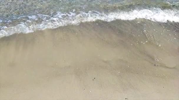 Μαλακό Κύμα Χτύπησε Την Αμμώδη Παραλία Καλοκαιρινό Φόντο — Αρχείο Βίντεο
