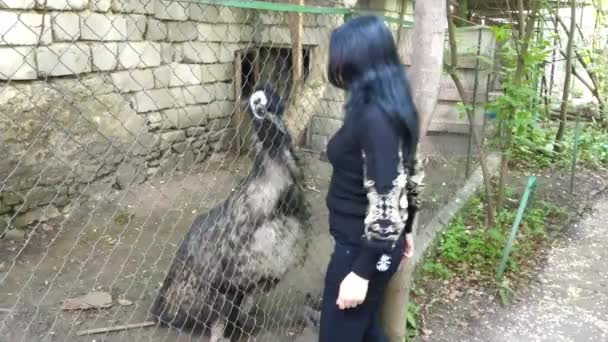 Ragazza Danza Con Struzzo Emu Uccello — Video Stock