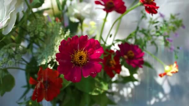 Kytice Fialových Bílých Růžových Fialových Eustomových Květů Červených Zinkových Květů — Stock video
