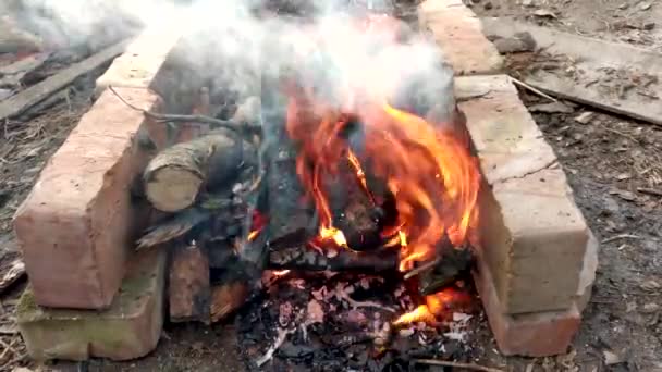 Hintergrund Der Feuerflamme Und Asche Lagerfeuer Textur Auf Wilder Natur — Stockvideo