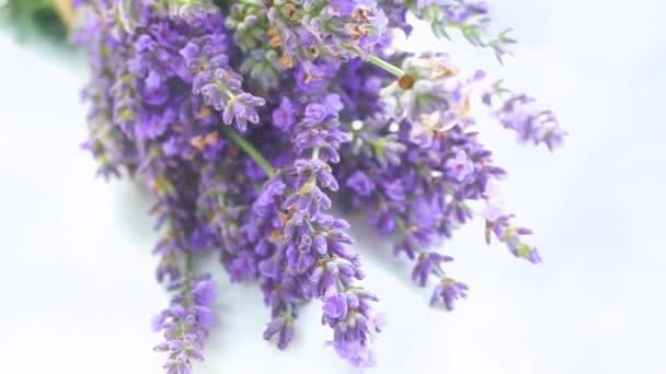 Vacker Lavendel Bukett Isolerad Vit Bakgrund Ovanifrån — Stockvideo