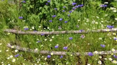 İnce ağaç dallarından yapılmış dekoratif çitler.