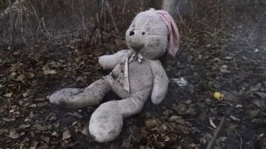 Ormanda sonbahar yapraklarıyla kaplı terk edilmiş oyuncak tavşancık. (konsept: depresyon, yalnızlık)