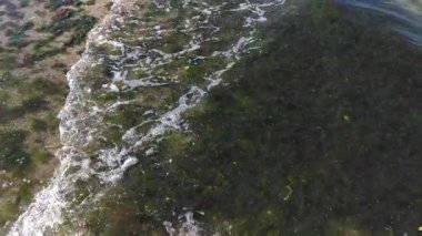 Deniz kenarındaki ev kirliliği. Plastik çöp, köpük, deniz yosunu ve yazın sahilde kirli atık. Çevre koruma ve ev atıklarının geri dönüşümü kavramı