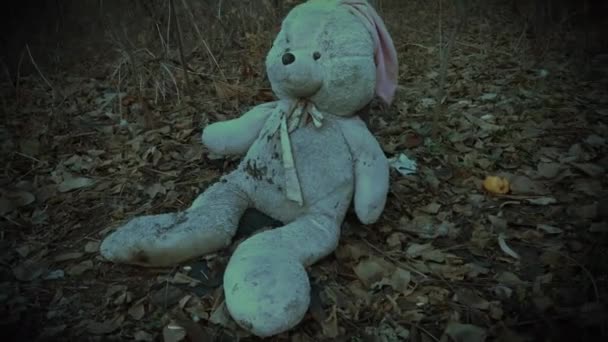 Lonely Olvidado Juguete Peluche Abandonado Conejito Conejo Bosque Cubierto Hojas — Vídeo de stock