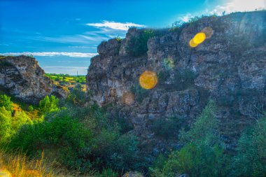 Moldova Cumhuriyeti, Varatic dağlarındaki güzel yaz manzarası. Yeşil manzara. İnanılmaz Doğa. Yeşil Çimenli ve Ağaçlı Park. Moldova 'daki kırsal manzara.