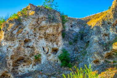 Moldova Cumhuriyeti, Varatic dağlarındaki güzel yaz manzarası. Yeşil manzara. İnanılmaz Doğa. Yeşil Çimenli ve Ağaçlı Park. Moldova 'daki kırsal manzara.