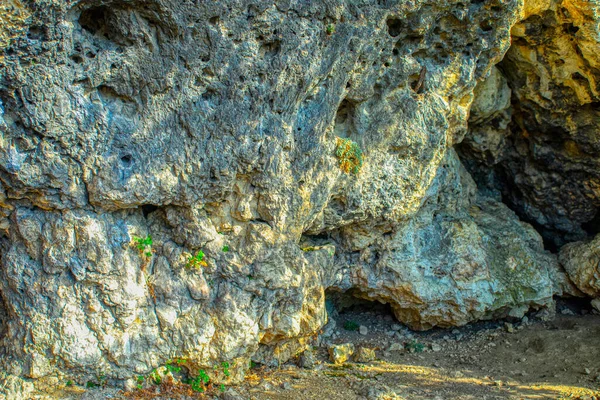 石器时代达鲁伊特地区韦切自然和历史遗产纪念碑位于摩尔多瓦里斯卡尼区境内 — 图库照片