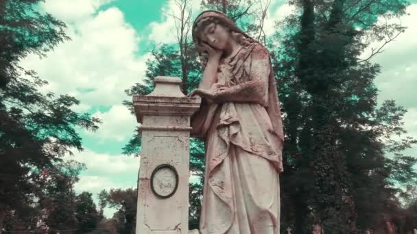 Figura Anjo Orante Uma Estátua Pedra Muito Antiga Morte Anjo — Vídeo de Stock