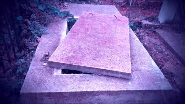 Open New Empty Grave Cemetery Green Moss Stone Cover — Stock Video